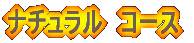 �i�`�������@�R�[�X