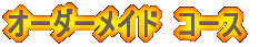�I�[�_�[���C�h�@�R�[�X